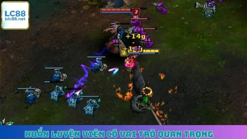 Huấn luyện viên có vai trò quan trọng